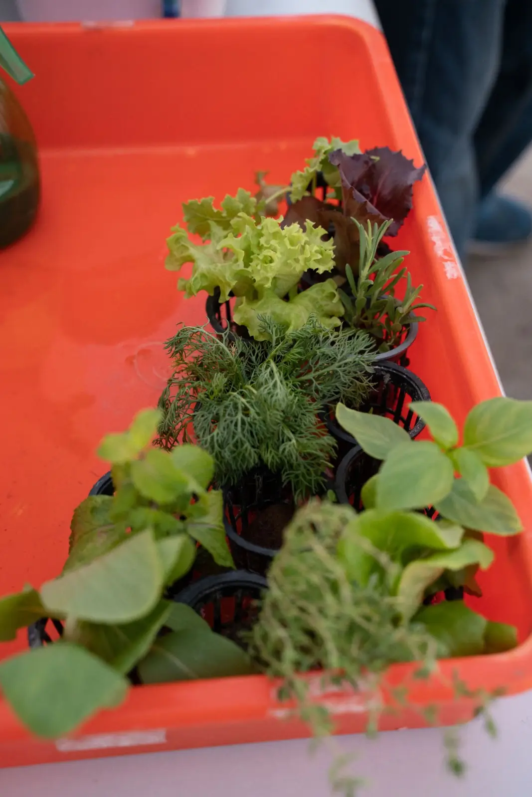 Lunar Analog image 44