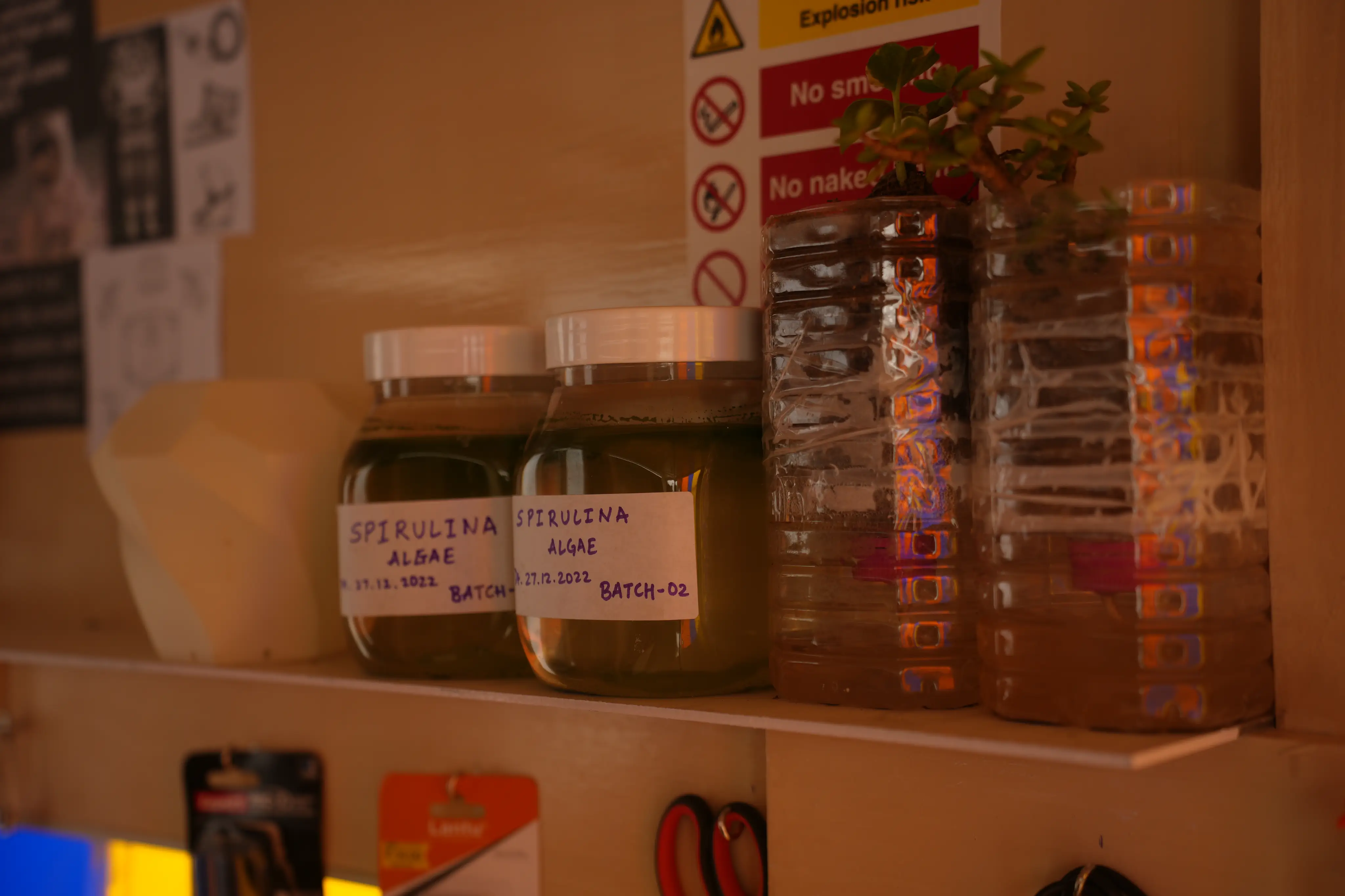 Lunar Analog image 5